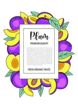 Vector background with plum, whole and pieces - Card design with fruits Illustrazione stock