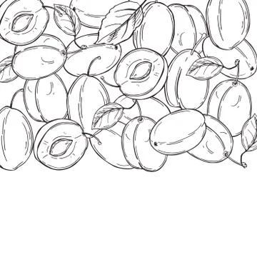 Vector background with plums. Stock Illustration