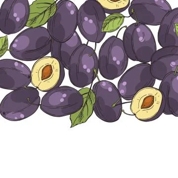 Vector background with plums. Stock Illustration