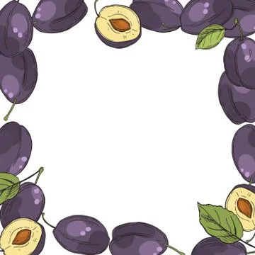 Vector background with plums. Stock Illustration