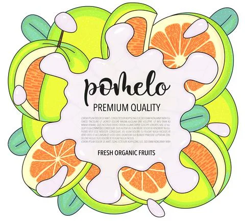 Vector background with pomelo, whole and pieces - Splash of water or milk Stock Illustration