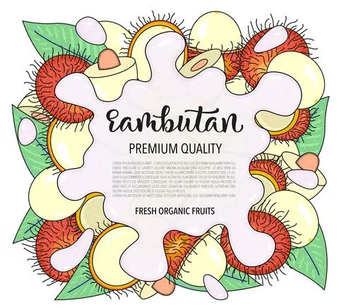 Vector background with rambutan, whole and pieces - Splash of water or milk Illustrazione stock