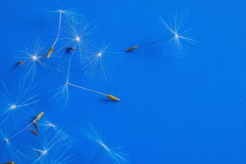 Vector background with realistic abstract technology particles for free Stock Illustration