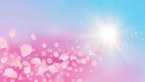 Vector background with realistic sakura petals and sun rays in sky. Template of Stock Illustration