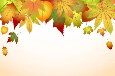 Vector background with red, orange, brown and yellow falling autumn leaves, s Stock Illustration