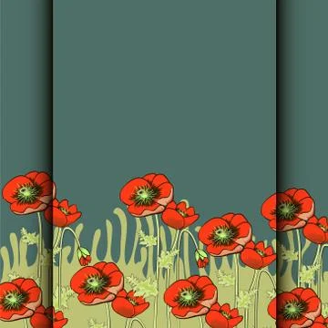 Vector background with red  poppies Stock Illustration