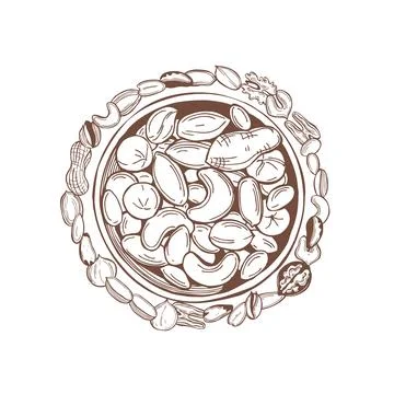 Vector background. Sketch nuts. Stock Illustration