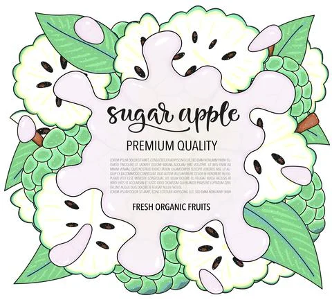 Vector background with sugar apple, whole and pieces - splash of water or milk. Stock Illustration