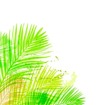 Vector background summer green card leaves palm Stock Illustration