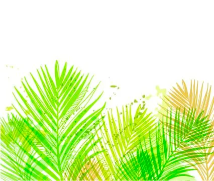 Vector background summer green card leaves palm Stock Illustration