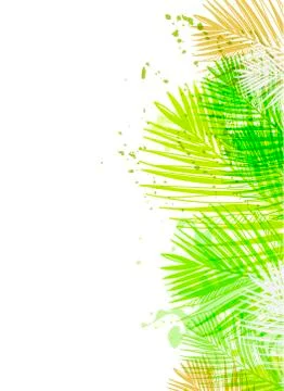 Vector background summer green card leaves palm Stock Illustration