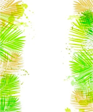 Vector background summer green card leaves palm Stock Illustration