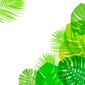 Vector background summer green card leaves palm Stock Illustration