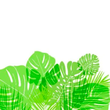 Vector background summer green card leaves palm Stock Illustration