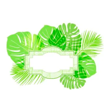 Vector background summer green card leaves palm Stock Illustration