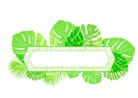 Vector background summer green card leaves palm Stock Illustration