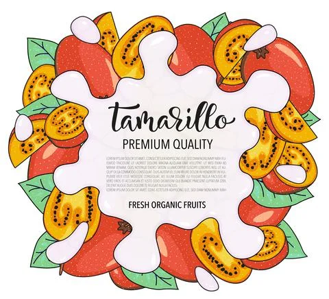 Vector background with tamarillo, whole and pieces - Splash of water or milk Stock Illustration