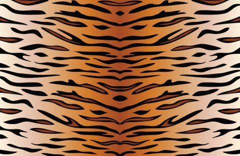 Vector background of tiger skin イラスト素材