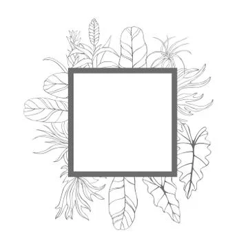 Vector background  with  tropical leaves. Stock Illustration