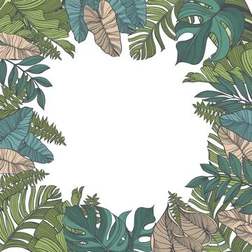 Vector background  with  tropical leaves. Stock Illustration