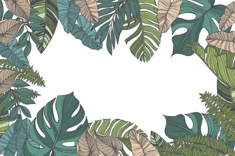 Vector background  with  tropical leaves. Stock Illustration