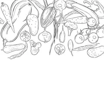 Vector background with   vegetables. Stock Illustration