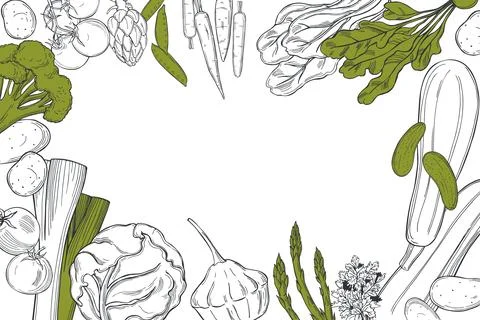 Vector background with   vegetables. Stock Illustration
