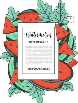 Vector background with watermelon, whole and pieces - Card design with fruits Stock Illustration