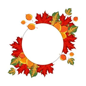 Vector background with white circle and autumn colorful leaves Stock Illustration