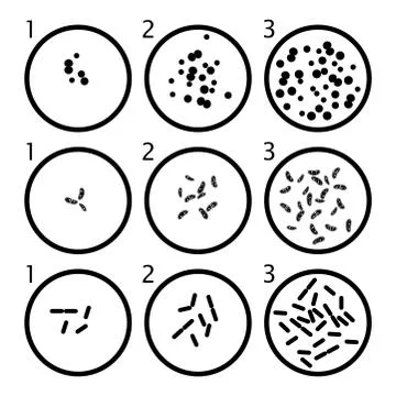 Vector bacteria growth stages. black bacterium cells in petri dishes Stock Illustration