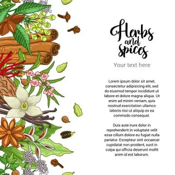 Vector bakery card design with spices and herbs Stock Illustration