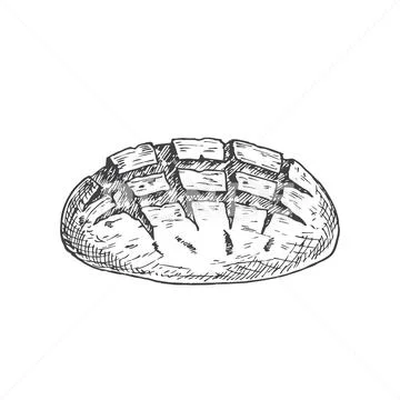Cartoon Drawing Bread Bean Paste PNG Images | PSD Free Download - Pikbest