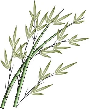 Vector bamboo illustration drawing Stock Illustration