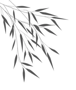Vector bamboo leaves Stock Illustration