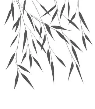 Vector bamboo leaves Stock Illustration