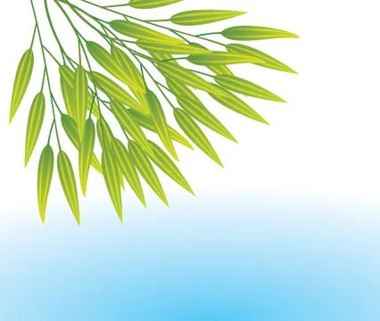 Vector bamboo leaves over water Stock Illustration