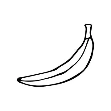 Vector banana in doodle style Stock Illustration