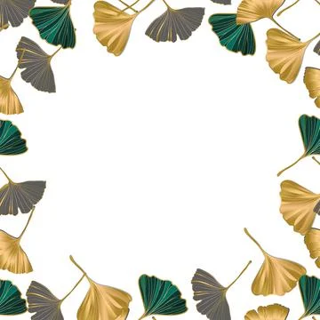 Vector banner of ginkgo biloba leaf. Ginkgo Biloba leaves. Copy Space Stock Illustration