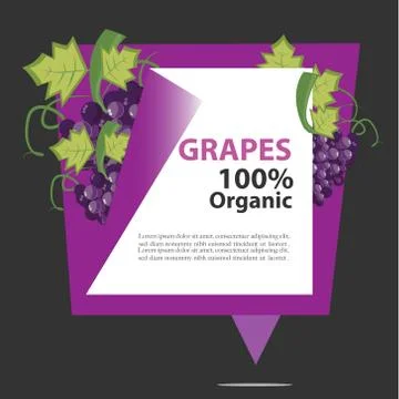 Vector Banner Grapes 100% Organic. Stock Illustration