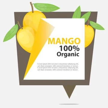 Vector Banner Mango 100% Organic. Illustrazione stock