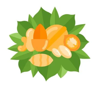 Vector Banner of Nuts. Stock Illustration