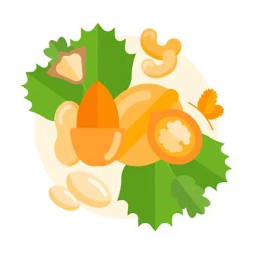 Vector Banner of Nuts. Stock Illustration