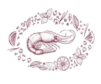 Vector banner with shrimp Stock Illustration