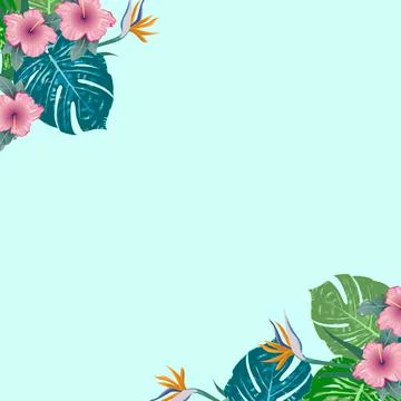 Vector banner Summer tropical flyer design with monstera palm leaves Copy Space Stock Illustration