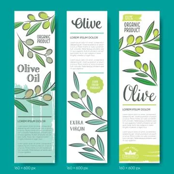 Vector banners with hand drawn olive branches Illustrazione stock