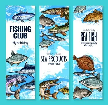 Vector banners set of fish catch for fishing club イラスト素材