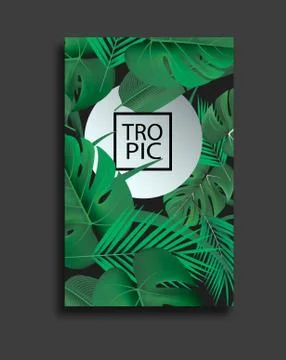 Vector banners set with green tropical leaves on black background. Exotic Stock Illustration