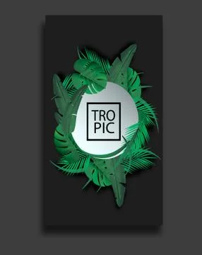 Vector banners set with green tropical leaves on black background. Exotic Stock Illustration