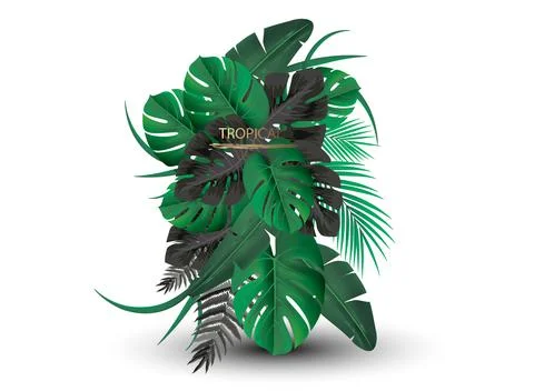 Vector banners set with green tropical leaves on black background. Exotic Stock Illustration