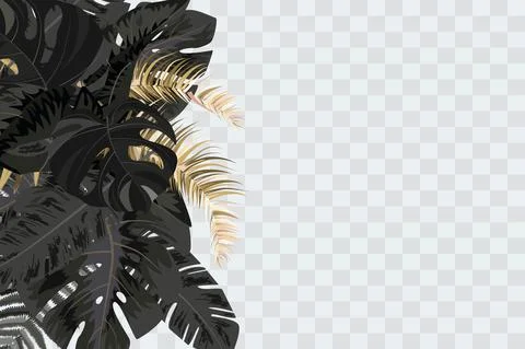 Vector banners set with green tropical leaves on black background. Exotic Stock Illustration